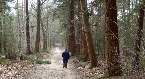 Alleen heel af en toe ontmoeten we een wandelaar.