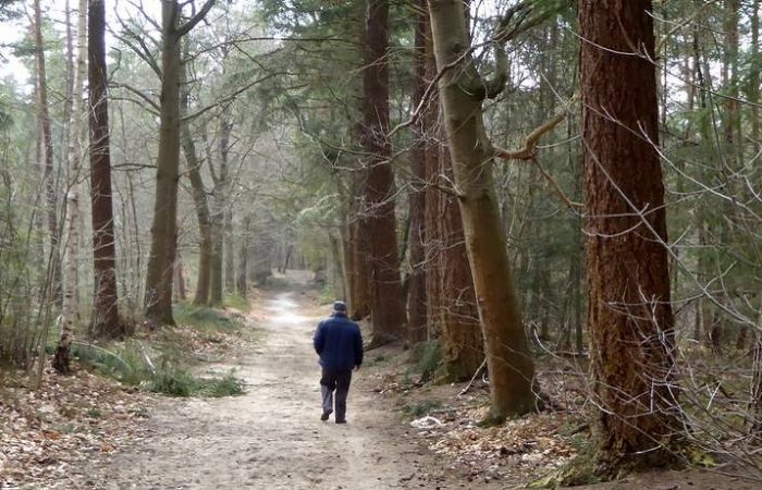 Alleen heel af en toe ontmoeten we een wandelaar.