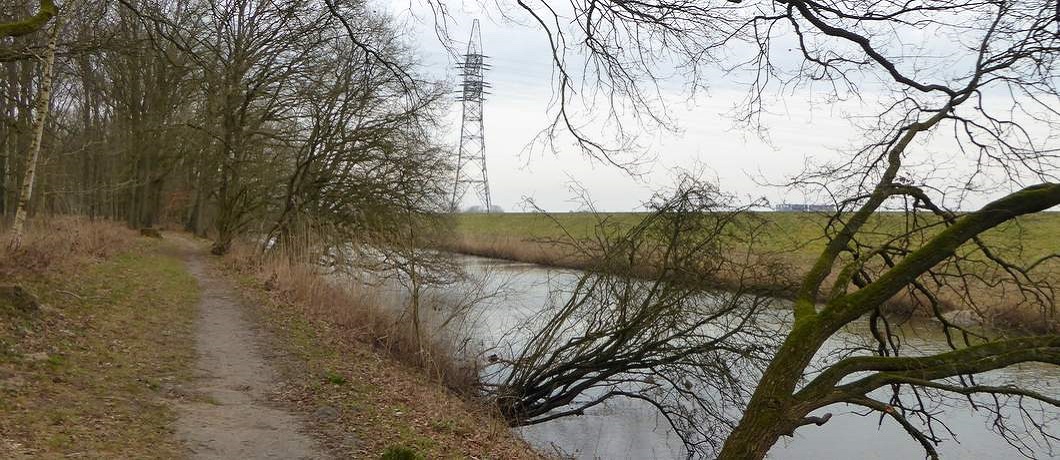 Langs het kanaal aan de rand van het bos.