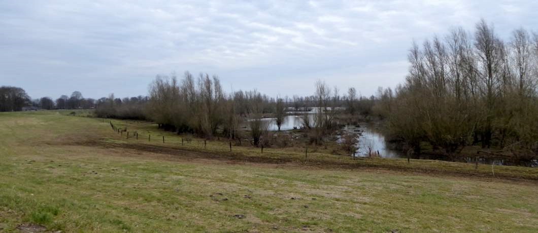 Over de dijk van de uiterwaarden tijdens de wandeling rond Hattem.