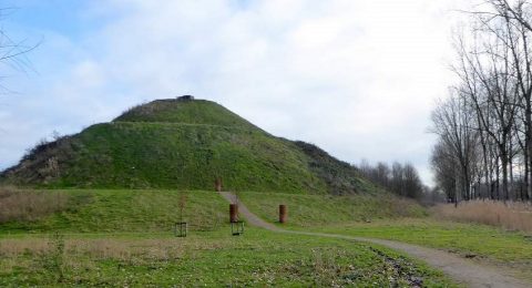 Wandelen over het Museumbospad van Almere