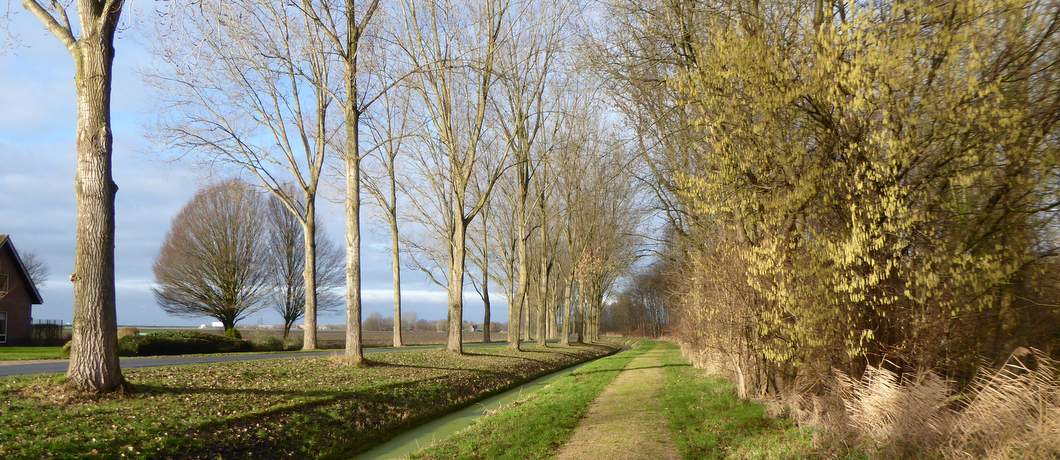 Start van het Museumbospad buiten Almere