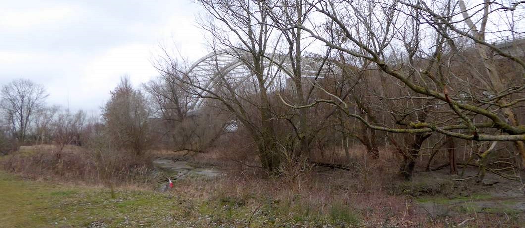De Van Brienenoordbrug rust met pijlers op het Eiland van Brienenoord