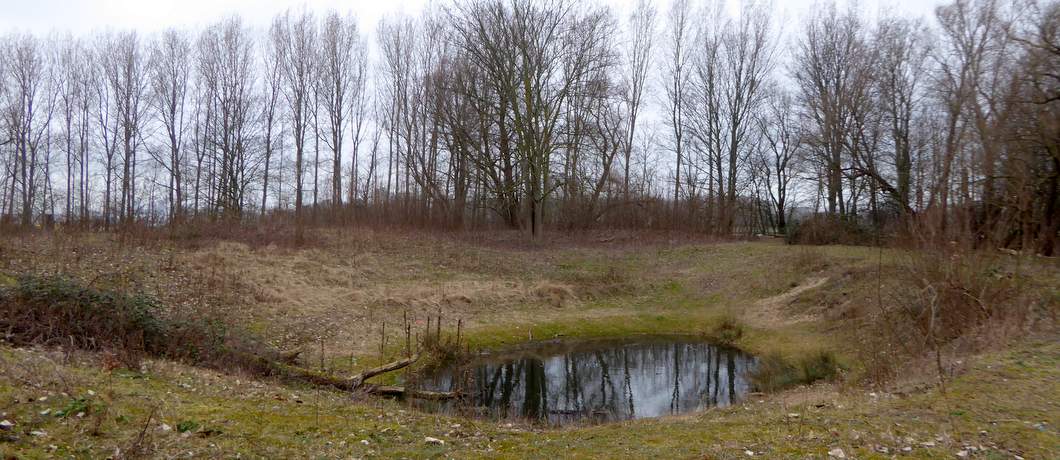 De kikker- en paddenpoel op het Eiland van Brienenoord lijkt ontstaan door een krater