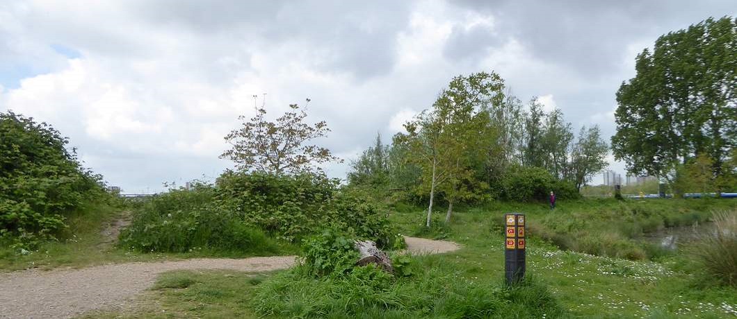 Wandelpaden kronkelen over het Eiland van Brienenoord