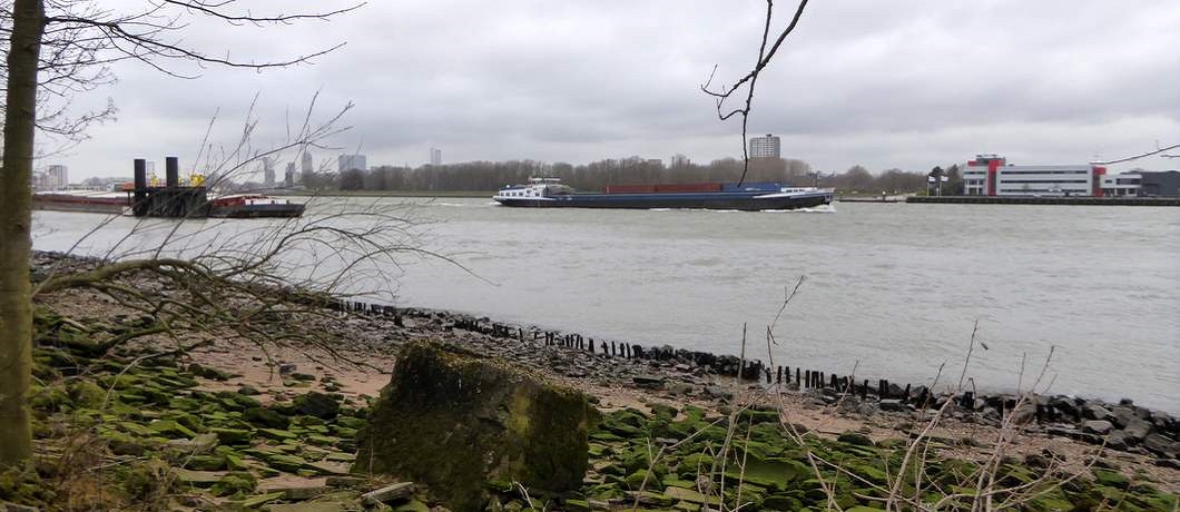 Uitzicht vanaf het strand van het Eiland van Brienenoord over de Nieuwe Maas