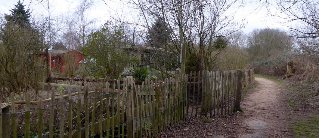Midden op het Eiland van Brienenoord liggen al sinds de Tweede Wereldoorlog volkstuinen