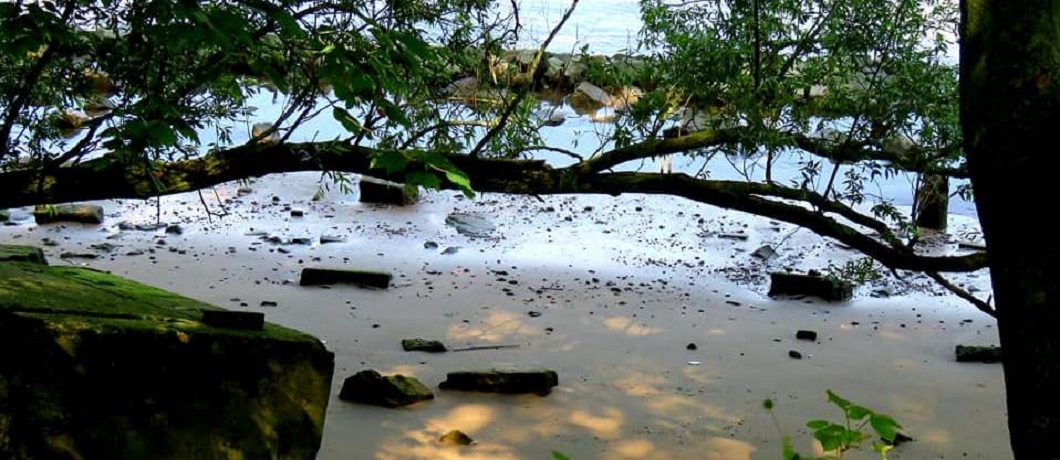 Noordelijke zandstrand op het Eiland van Brienenoord bij Rotterdam