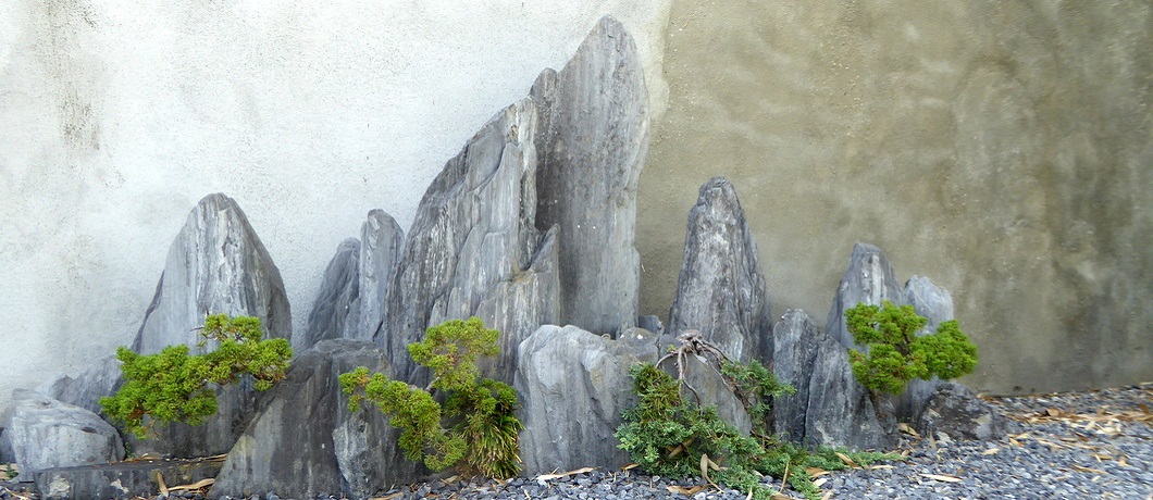 De collectie penjing van de Botanische tuin Zuidas in Amsterdam is de enige in Nederland.