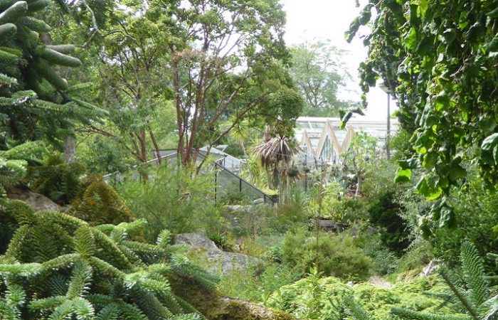 Doorkijkje naar de kassen van de Botanische tuin Zuidas in Amsterdam