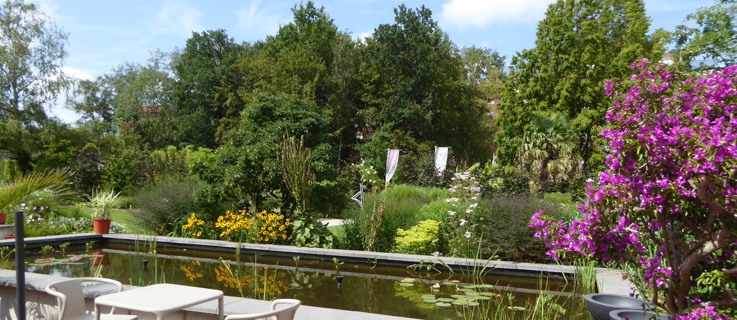 Lekker aan de vijver zitten van de Botanische tuin Zuidas in Amsterdam.