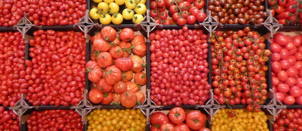 Tomaten bij Landwaart Culinair in Maartensdijk