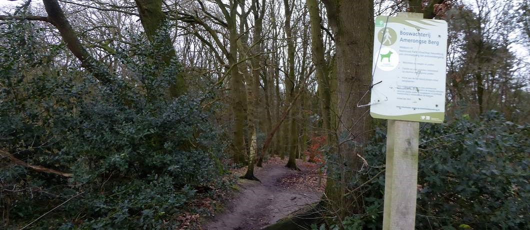 Mooie smalle bospaadjes tijdens het wandelen bij Leersum op de Utrechtse Heuvelrug