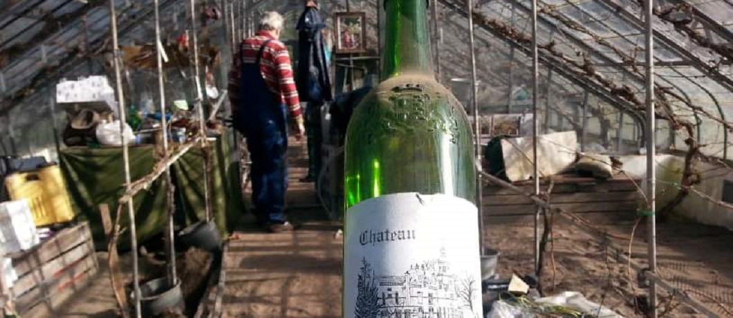 Met de wijngaardenier in de druivenkas van villa Oud Groevenbeek