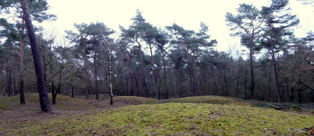 Tijdens het wandelen bij Leersum zie je op de Geerenberg zes grafheuvels uit de bronstijd