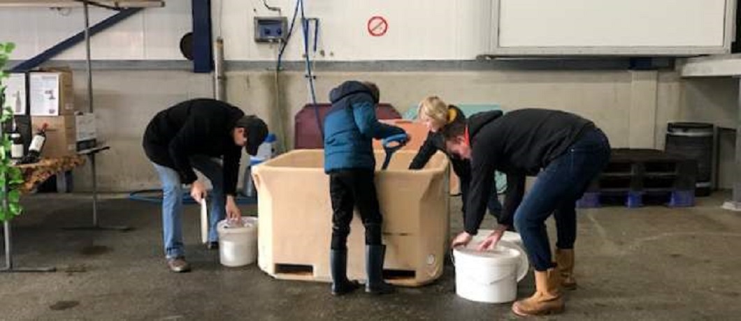 ijs-zeeverse-vismarkt-wieringen-davides