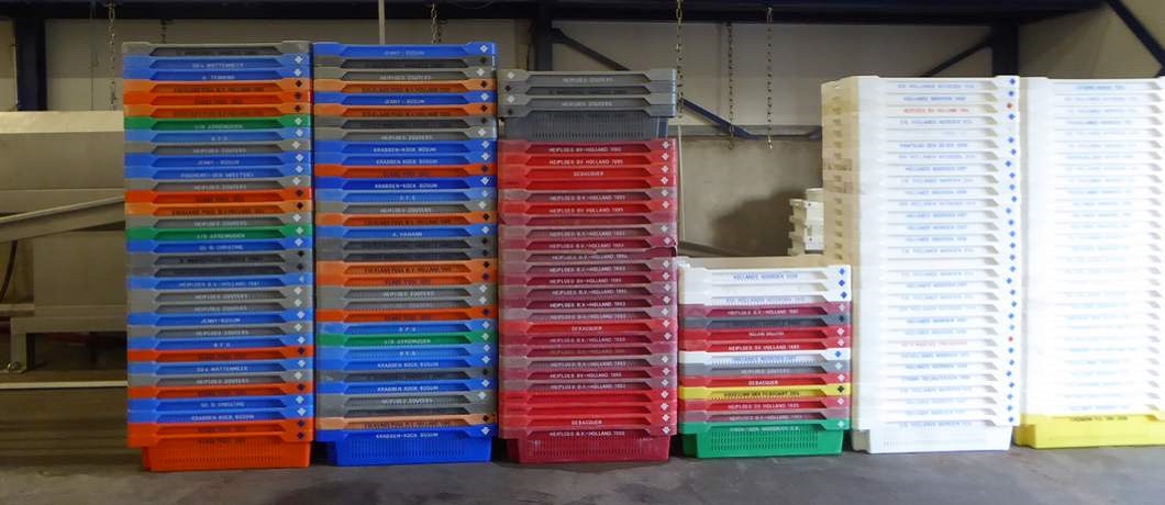 kratten-zeeverse-vismarkt-wieringen-davides