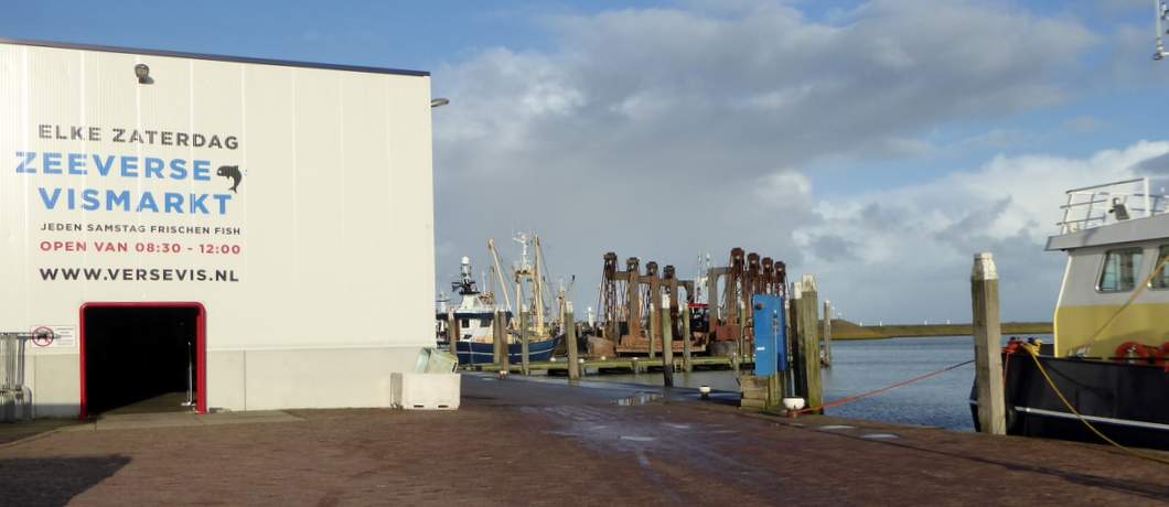 visafslag-den-oever-zeeverse-vismarkt-wieringen-davides