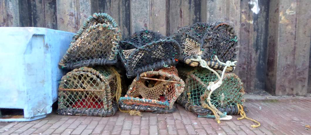 visnetten-zeeverse-vismarkt-wieringen-davides