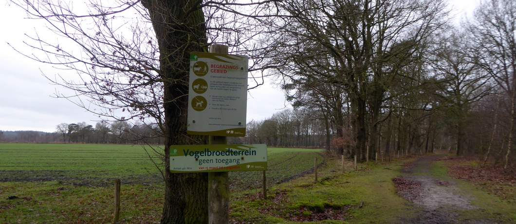 Ik passeer verschillende ontoegankelijke vogebroedgebieden tijdens het wandelen bij Leersum