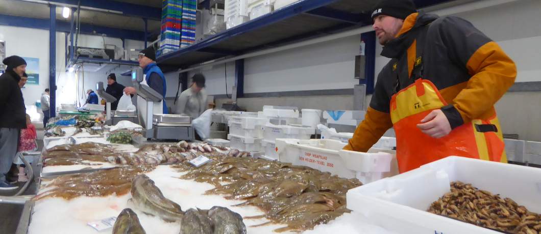 zaterdag-zeeverse-vismarkt-wieringen-davides