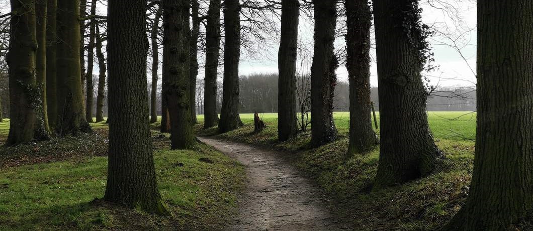 Wandelen door bossen en coulissenlandschap bij landgoed Hackfort in de Achterhoek