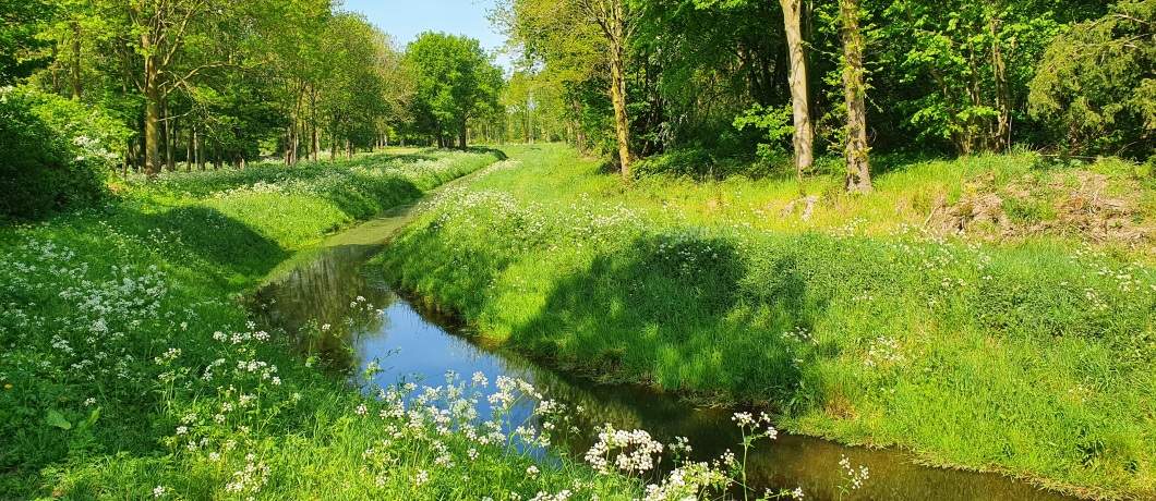De beek slingert mooi door het landschap van de Overasseltse en Hatertse Vennen