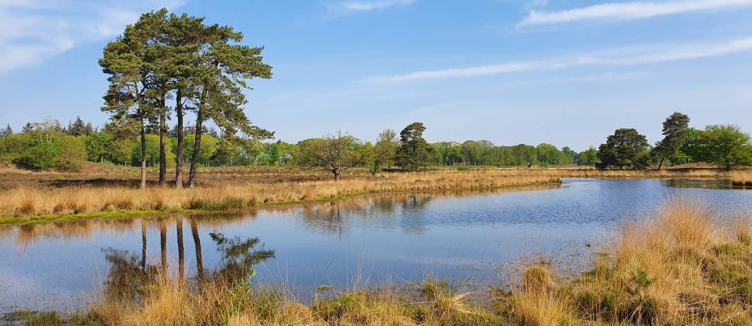 Het blauw van de lucht spiegelt in het rimpeloze ven Botersnijder Zuid tijdens de wandeling langs de Overasseltse en Hatertse Vennen