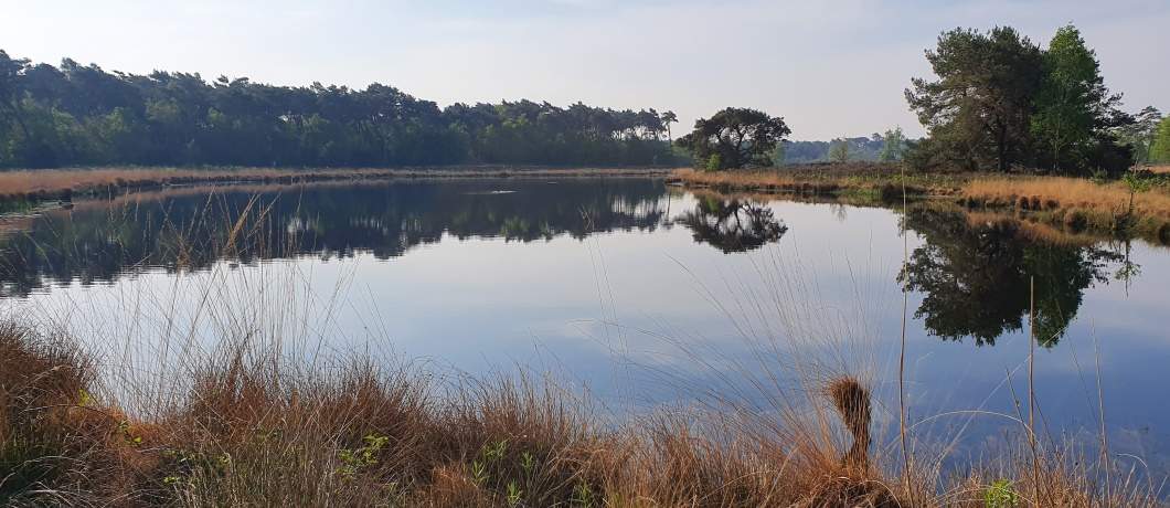 Alleen op de wereld bij het Langeven Noord tijdens de wandeling langs de Overasseltse en Hatertse Vennen