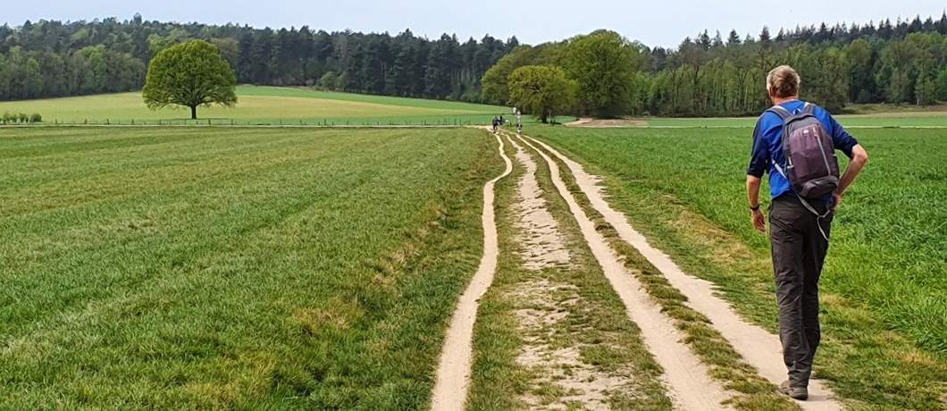 Karrenspoor richting de Hulzenberg tijdens de wandeling in het Montferland