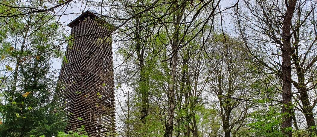 De houten middeleeuws aandoende uitkijktoren op de Hulzenberg tijdens de wandeling door het Montferland