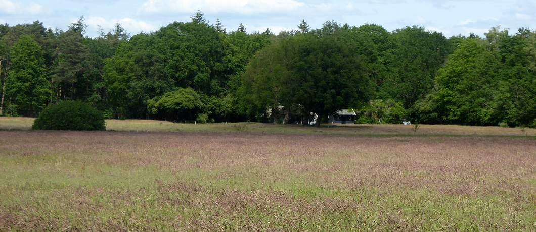 Verscholen boerderij in het bos Kronkelende kleine bospaadjes tijdens de wandeling rondom Echten in boswachterij Ruinen