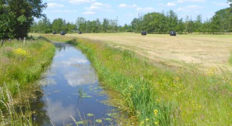 Fietsen in het eeuwenoude landschap van het Reestdal