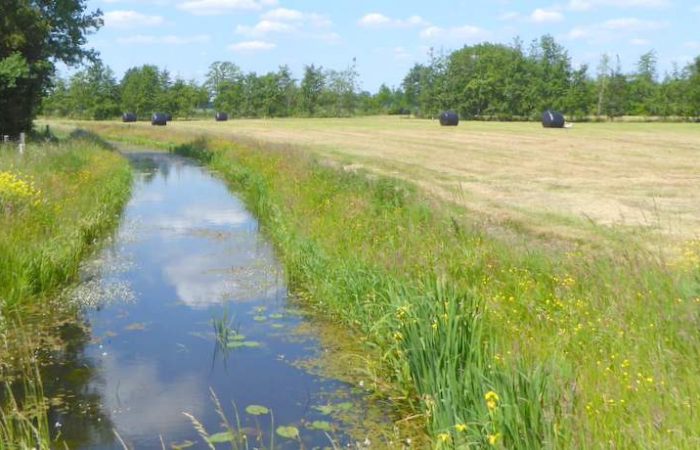 Kronkelende beek de Reest met haar natuurlijke oevers tijdens het fietsen door het Reestdal