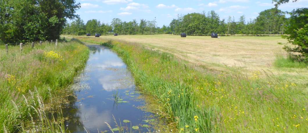 Kronkelende beek de Reest met haar natuurlijke oevers tijdens het fietsen door het Reestdal