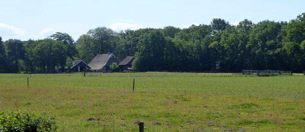 Een boerderij verscholen tegen de bosrand tijdens het fietsen door het Reestdal