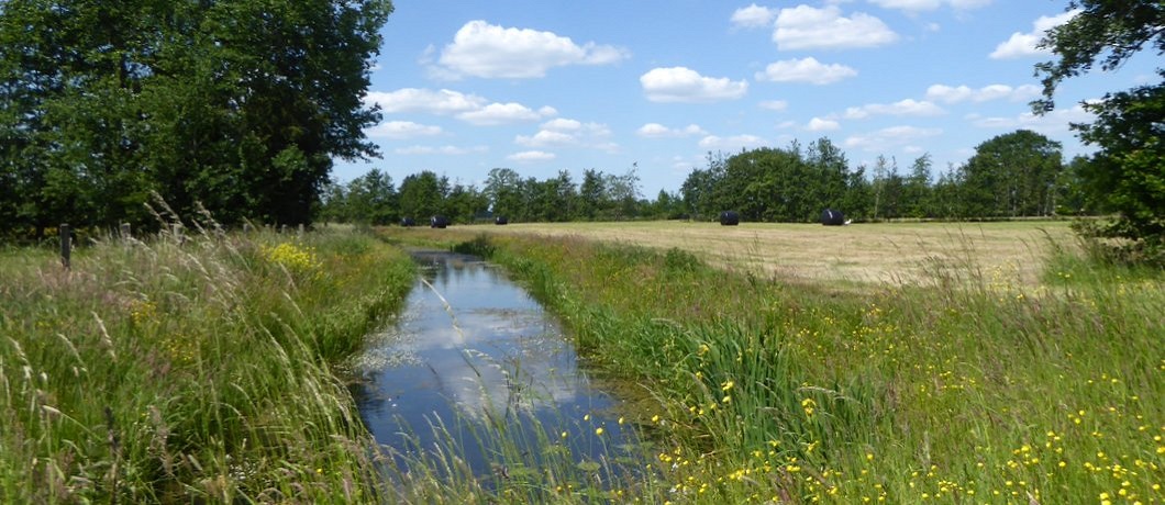 Fietsen door het Reestdal en langs de Reest vanuit De Havixhorst