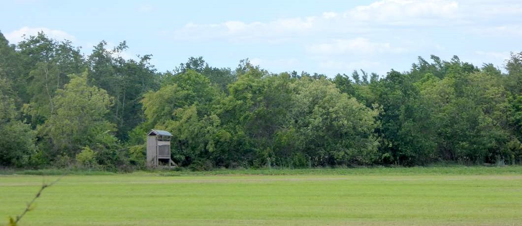 Een uitkijkhut aan de rand van het veld tijdens de wandeling rondom Echten in boswachterij Ruinen
