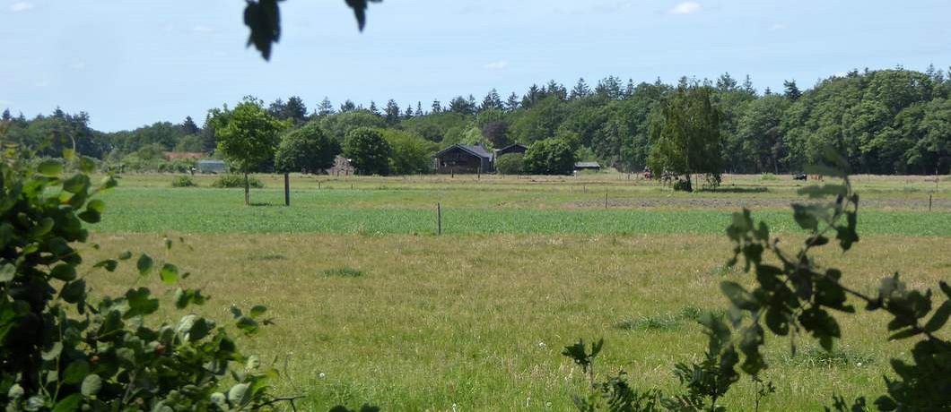 Velden met gewassen en boerderijen tijdens het wandelen rondom Echten