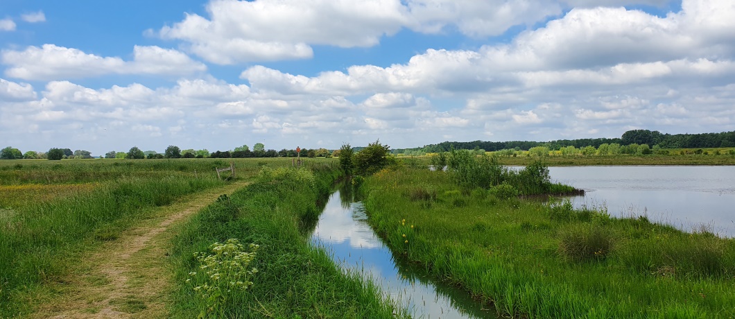 De Amerongse Bovenpolder onderweg tijdens de wandeling rond Amerongen