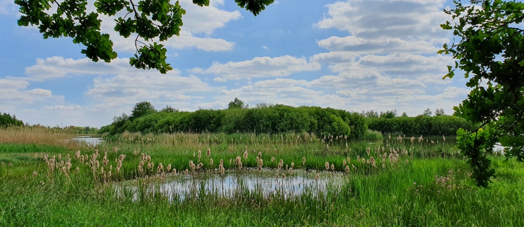 De weidsheid van de uiterwaarden Wandelen naar de Amerongse Berg met 69 meter het hoogste punt in de provincie Utrecht De Amerongse Bovenpolder onderweg tijdens de wandeling rond Amerongen