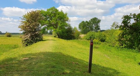 Wandelen rond Amerongen over de Utrechtse Heuvelrug en door de uiterwaarden