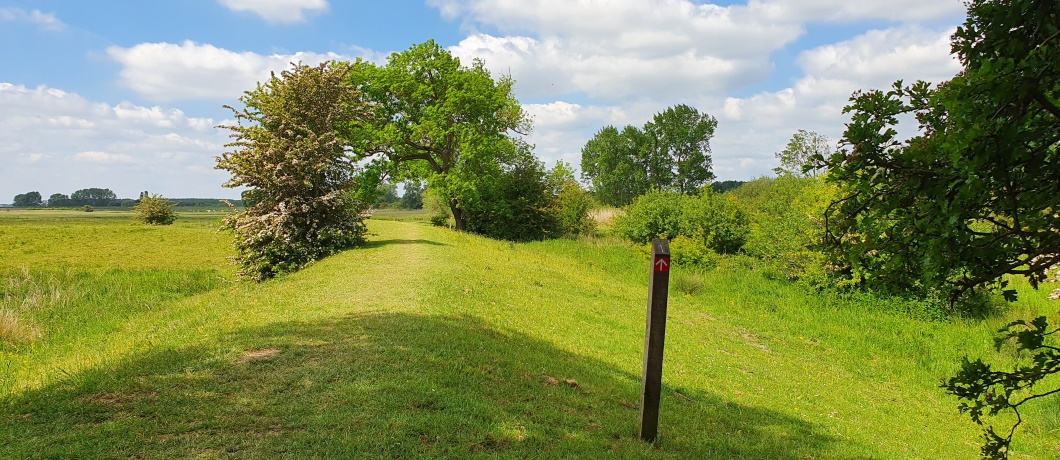 Zomerdijk in de uiterwaarden tijdens de wandeling rond Amerongen