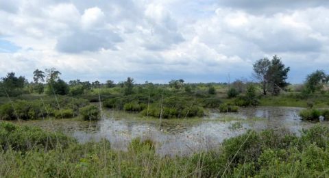 De vennen van de Malpie tijdens het fietsen door natuurgrenspark De Groote Heide