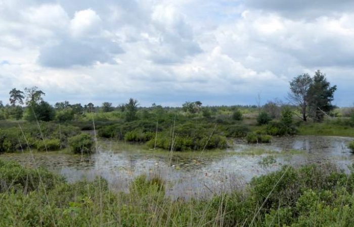 De vennen van de Malpie tijdens het fietsen door natuurgrenspark De Groote Heide