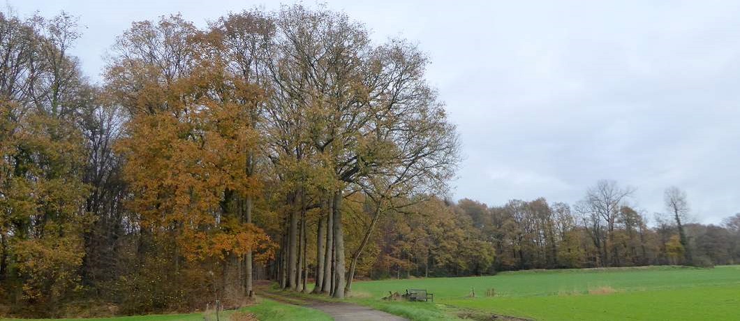 Brede zandpaden door het coullissenlandschap van de Trage Tocht Winterswijk Ratum