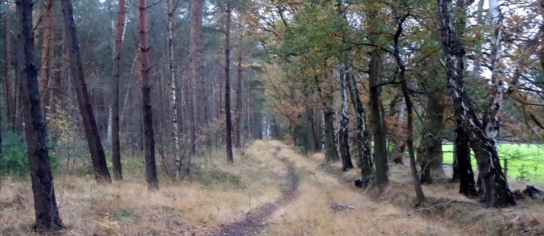 Het komiezenpad langs de Duitse grens tijdens de Trage Tocht Winterswijk Ratum
