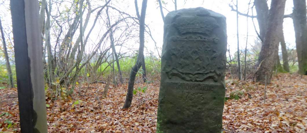 Grenspaal uit eind 18e eeuw langs het komiezenpad tijdens de Trage Tocht Winterswijk Ratum