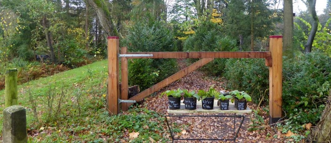 Planten te koop onderweg bij de Trage Tocht Winterswijk Ratum