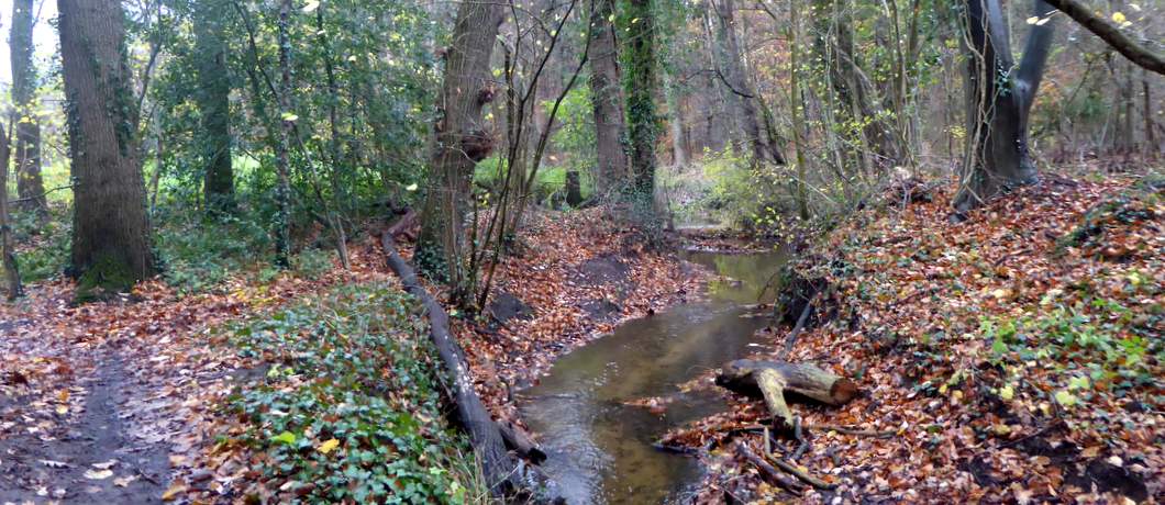 De slingerende smalle Ratumse beek volgen tijdens de Trage Tocht Winterswijk Ratum